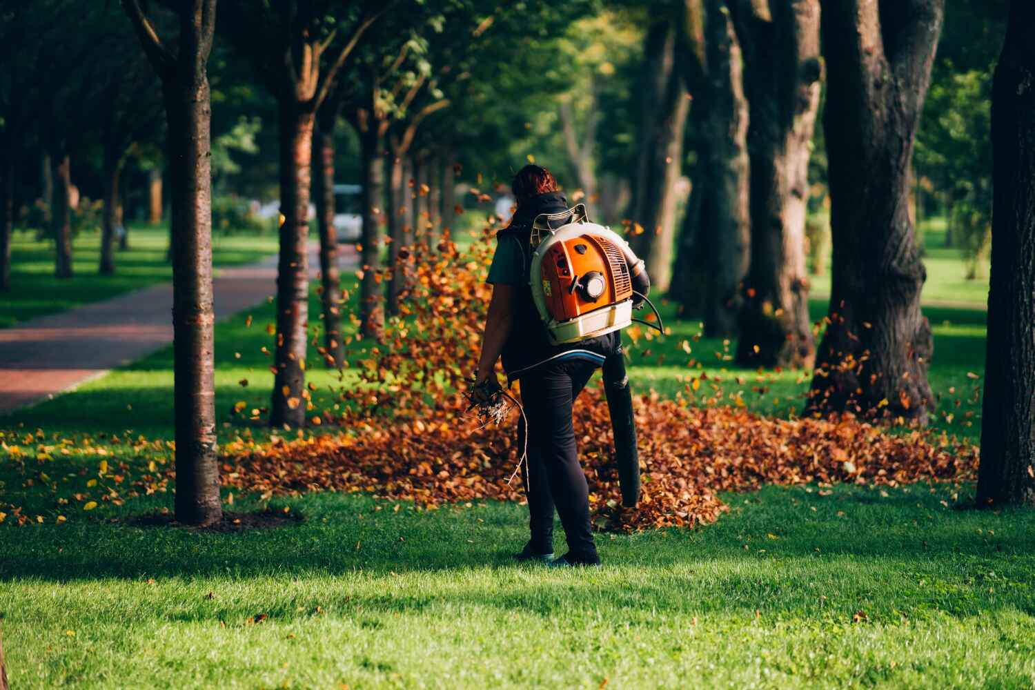 Best Professional Tree Care  in USA